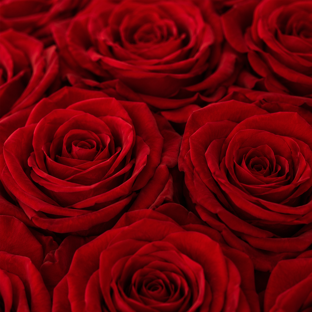 Arreglo de rosas